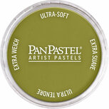 PanPastel Bright Yellow Green Shade 680.3 9ml