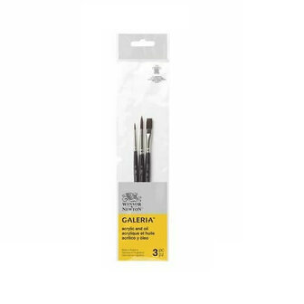 Winsor &amp; Newton Galeria Acrylverf Olieverf Penselen Set 4