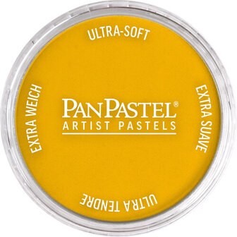PanPastel Diarylide Yellow 250.5 9ml
