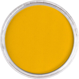 PanPastel Diarylide Yellow 250.5 9ml B