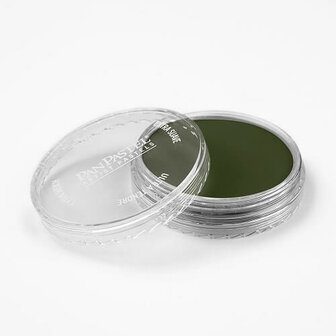 PanPastel Chromium Oxide Green Shade 660.3 9ml A