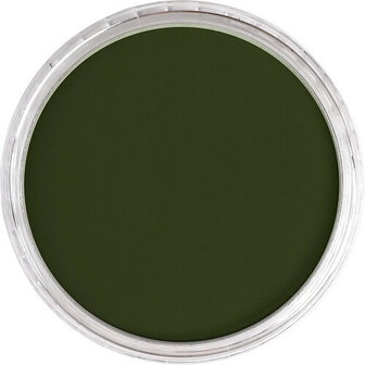 PanPastel Chromium Oxide Green Shade 660.3 9ml B
