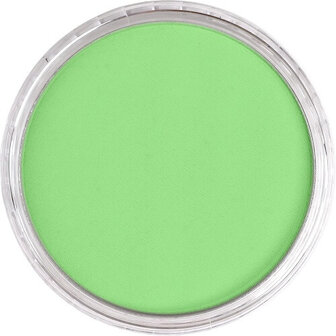 PanPastel Yellow Green Light 690.7 9ml B