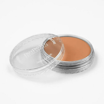 PanPastel Burnt Sienna Light 740.7 9ml A