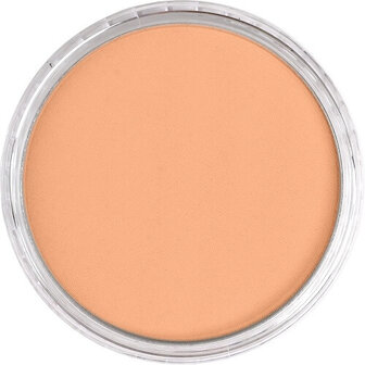 PanPastel Burnt Sienna Light 740.7 9ml B