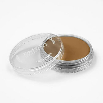 PanPastel Burnt Umber Medium 760.6 9ml A