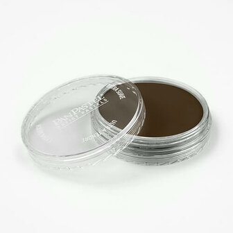 PanPastel Raw Umber Shade 780.3 9ml A