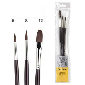Winsor &amp; Newton Galeria Interlocked Acrylverf Penselen Set 1 A