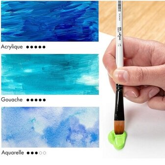 Darwi Acrylverf Penselen Set Fine 1 C