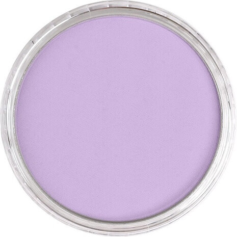 PanPastel Pearlescent Violet 954.5 9ml B