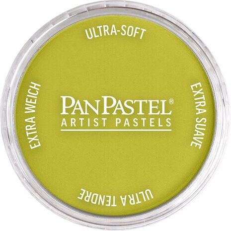 PanPastel Hansa Yellow Shade 220.3 9ml