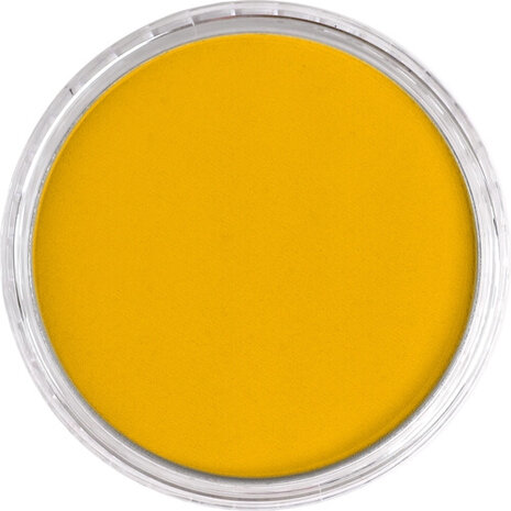 PanPastel Diarylide Yellow 250.5 9ml B