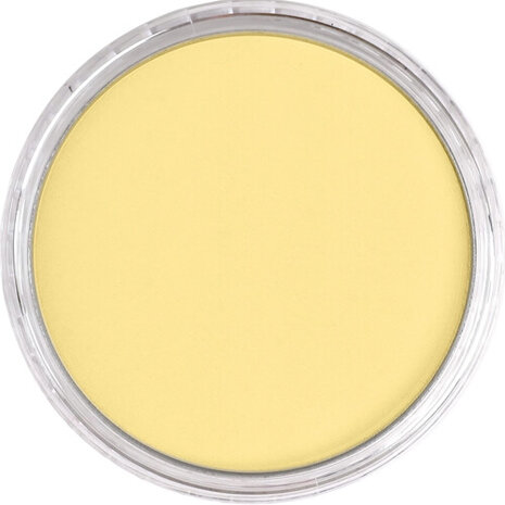 PanPastel Diarylide Yellow Tint 250.8 9ml B