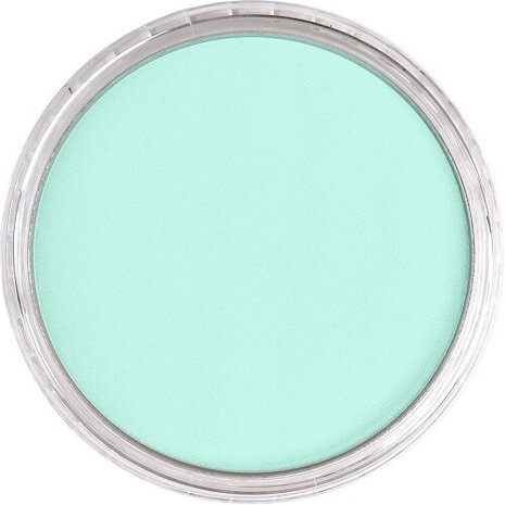 PanPastel Phthalo Green Tint 620.8 9ml B