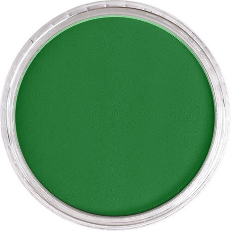PanPastel Permanent Green Shade 640.3 9ml B