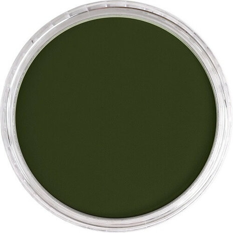 PanPastel Chromium Oxide Green Shade 660.3 9ml B