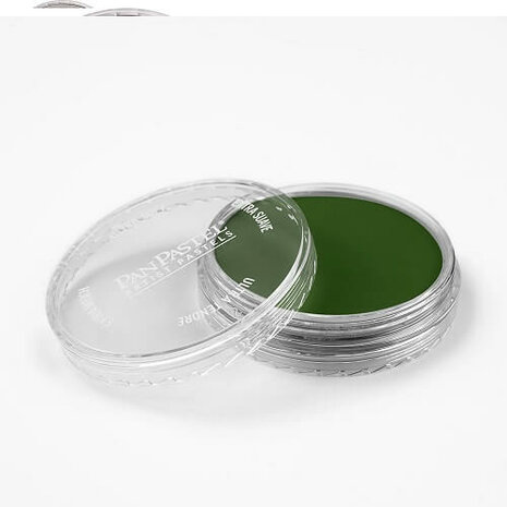 PanPastel Chromium Oxide Green 660.5 9ml A