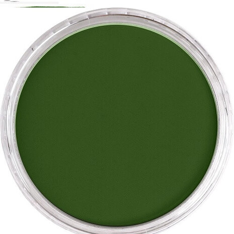 PanPastel Chromium Oxide Green 660.5 9ml B