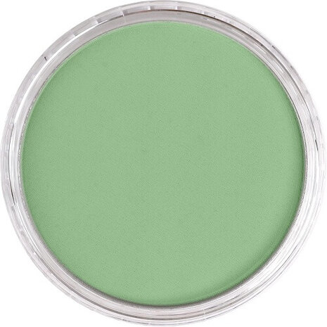 PanPastel Chromium Oxide Green Light 660.7 9ml B