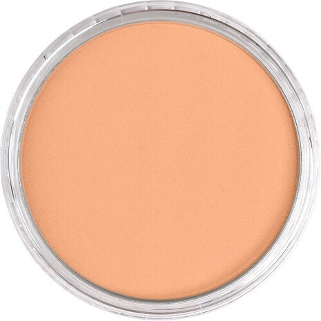 PanPastel Burnt Sienna Light 740.7 9ml B