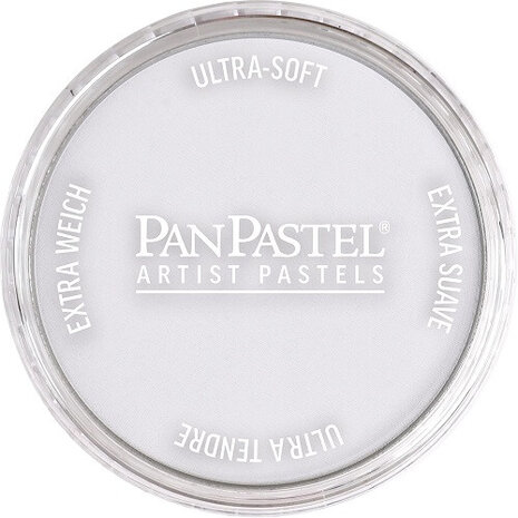 PanPastel Paynes Grey Tint 840.8 9ml