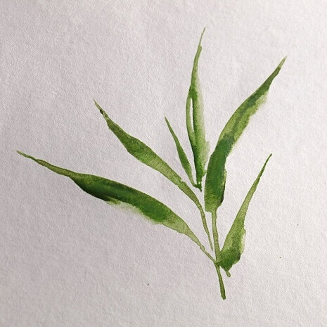 Clairefontaine Bamboo Aquarelpad 250 grams 3