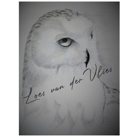 Derwent Charcoal Block Dark Owl